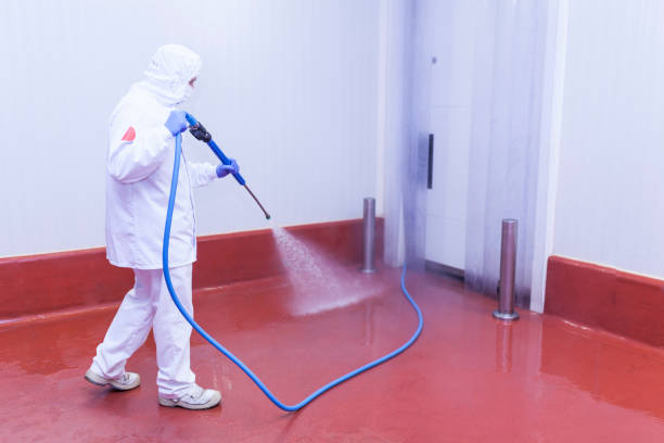 Best Driveway Pressure Washing  in Riverdale, GA